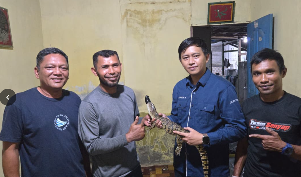 Handling and Release of a Crocodile Trapped in a Community Crab Net in South Aceh